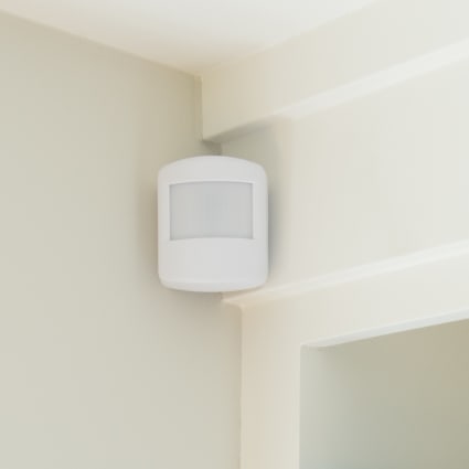 Asheville motion sensor