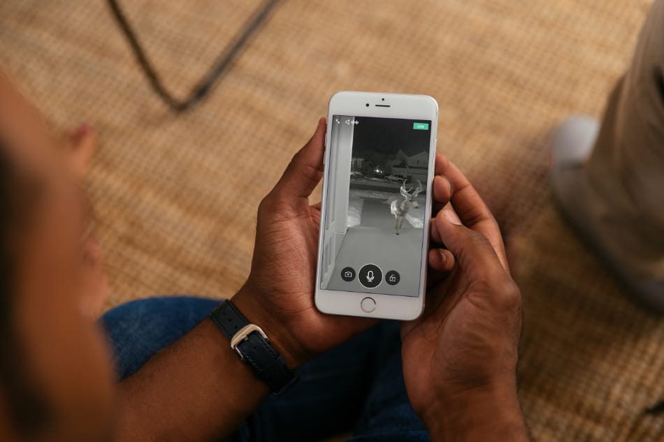 Sylva NC security system